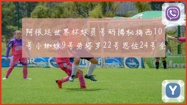阿根廷世界杯球员号码揭秘梅西10号小蜘蛛9号劳塔罗22号恩佐24号全解析