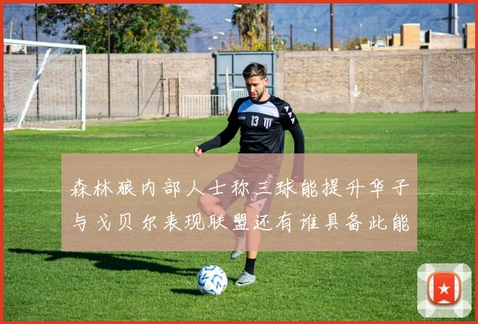 森林狼内部人士称三球能提升华子与戈贝尔表现联盟还有谁具备此能力